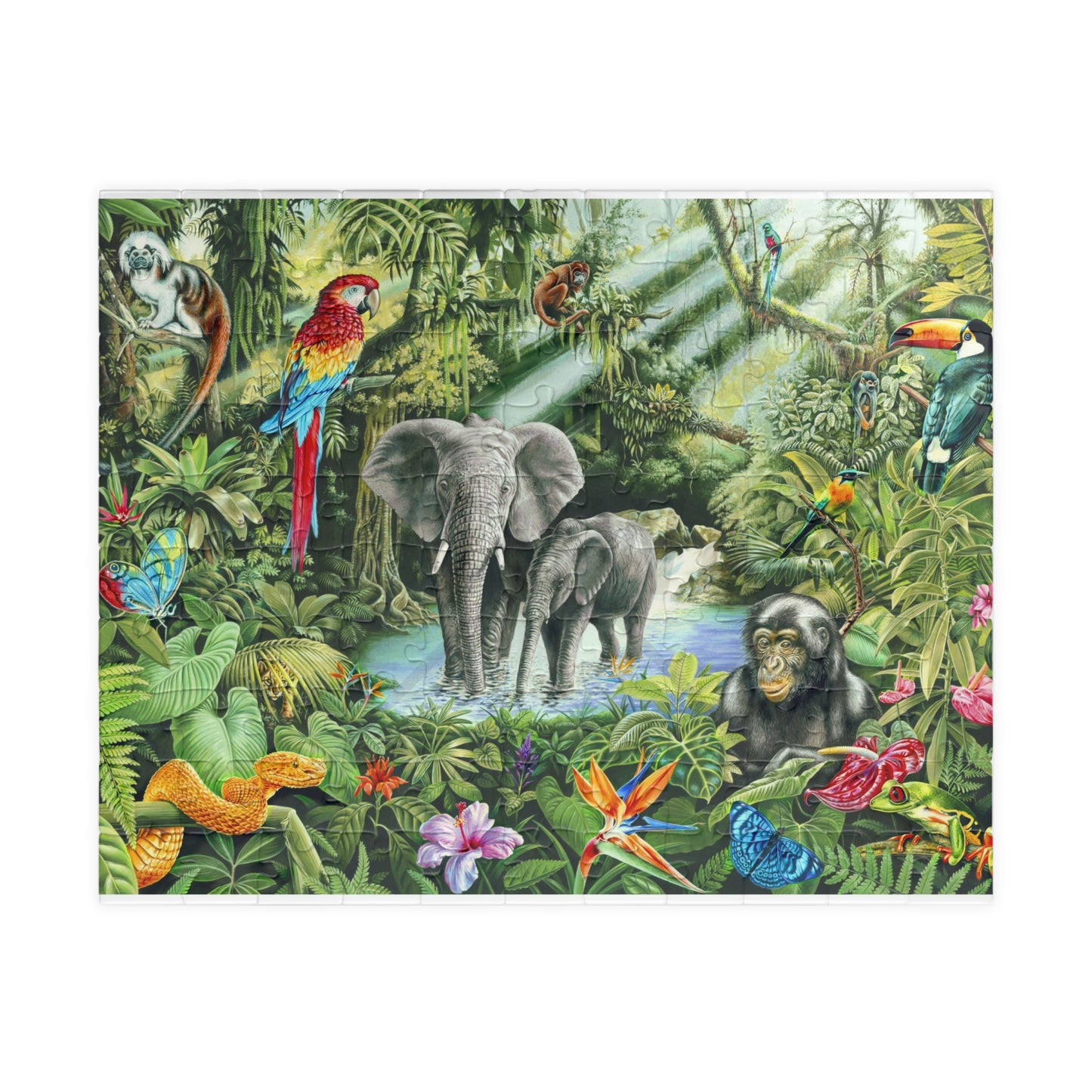 Vibrant Jungle Wildlife Puzzle - Up to 1014 Pieces for Nature Lovers