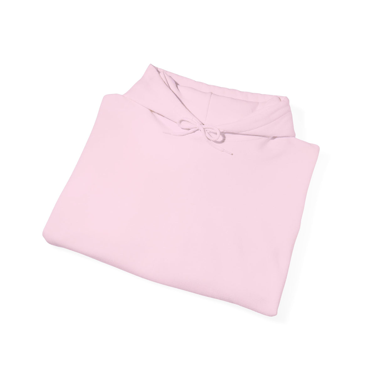 The Coop Learning Academy Hoodie (Adult Size)