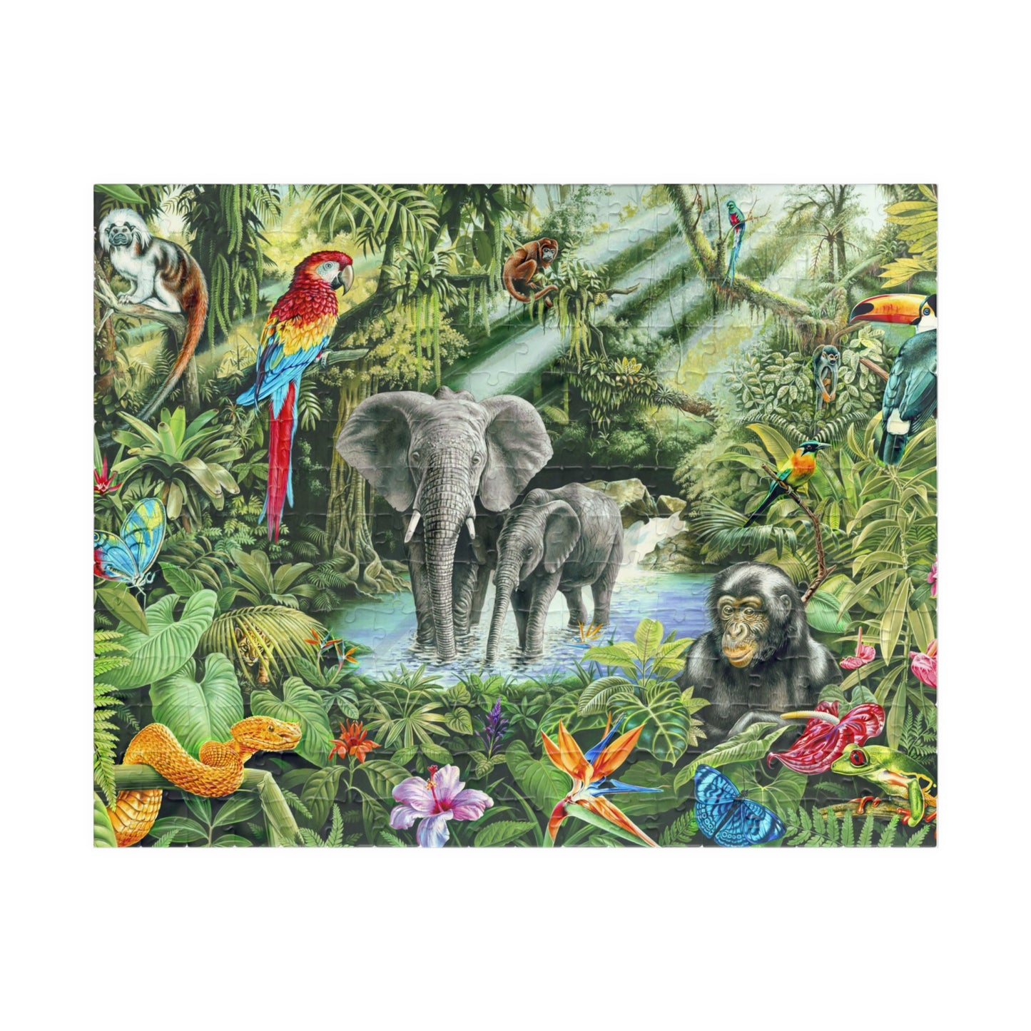 Vibrant Jungle Wildlife Puzzle - Up to 1014 Pieces for Nature Lovers