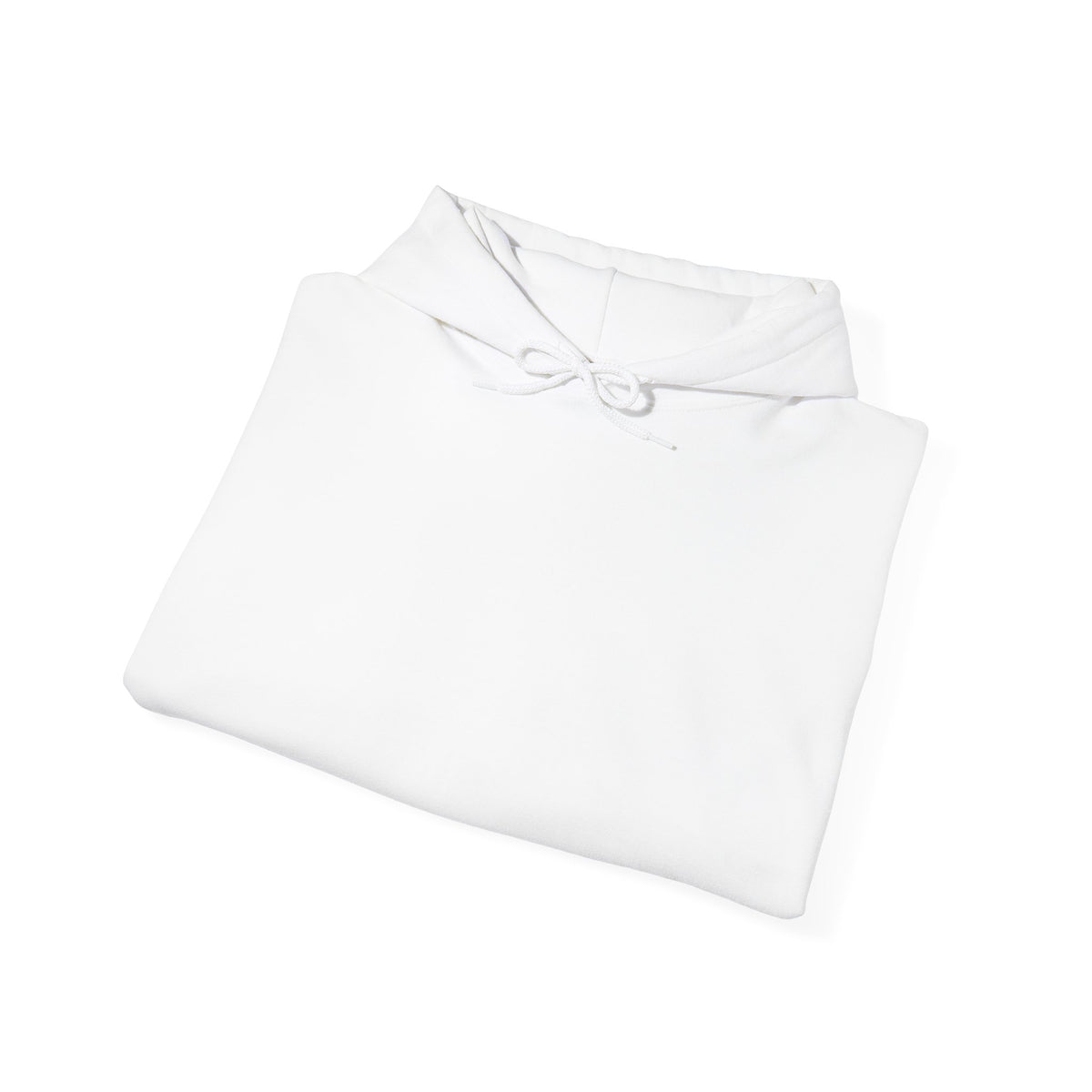 The Coop Learning Academy Hoodie (Adult Size)
